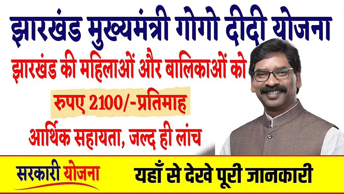 Gogo Didi Yojana New Form